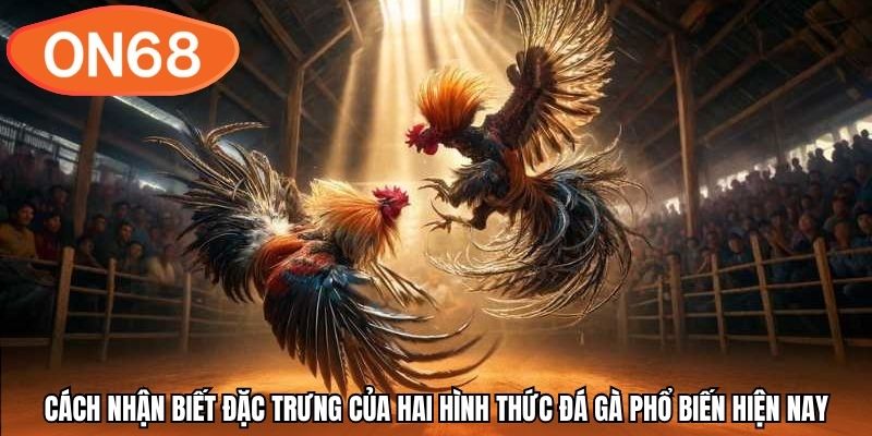 Cách nhận biết đặc trưng của hai hình thức đá gà phổ biến hiện nay