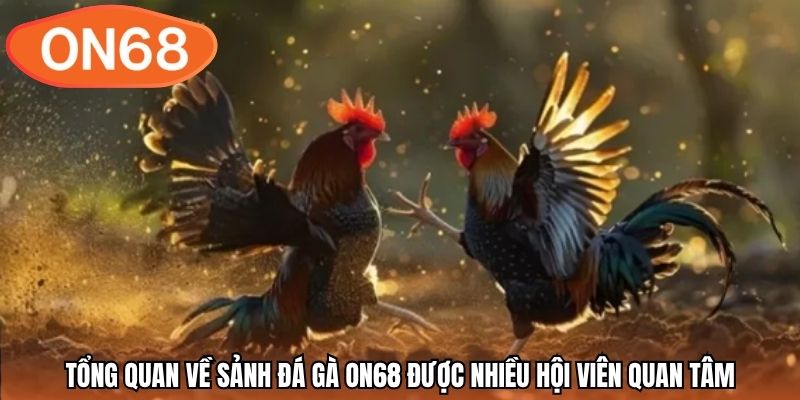 Tổng quan về sảnh đá gà ON68 được nhiều hội viên quan tâm